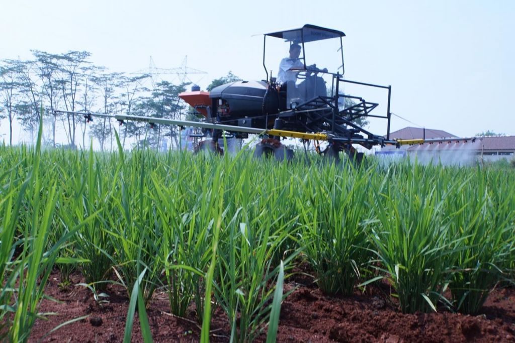 Bisa Untung Jumbo, Petani Didorong Realisasikan Pertanian Modern