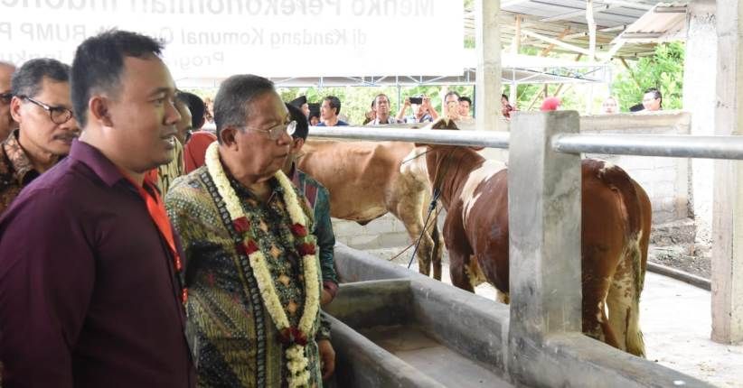 Penyaluran KUR Sentuh Rp113,6 Triliun, 70 Persen Disalurkan Bank BRI