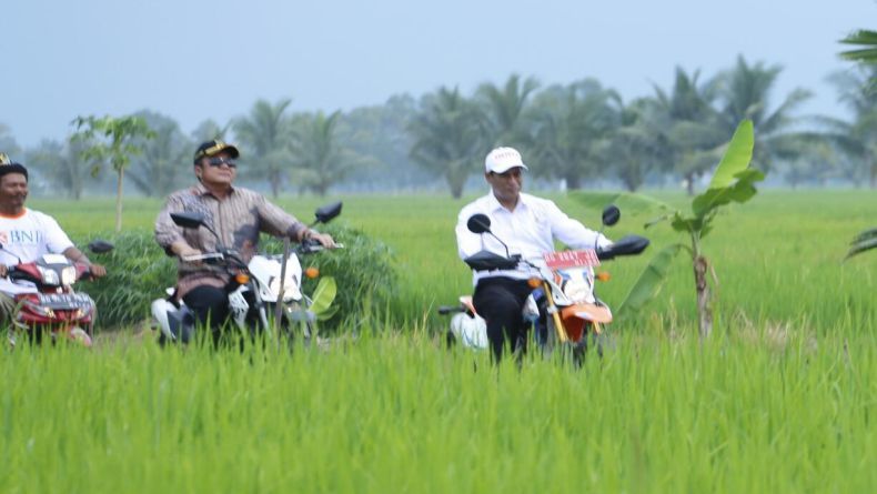 Mentan Pantau Optimasi Lahan Sawah Pasang Surut di Banyuasin