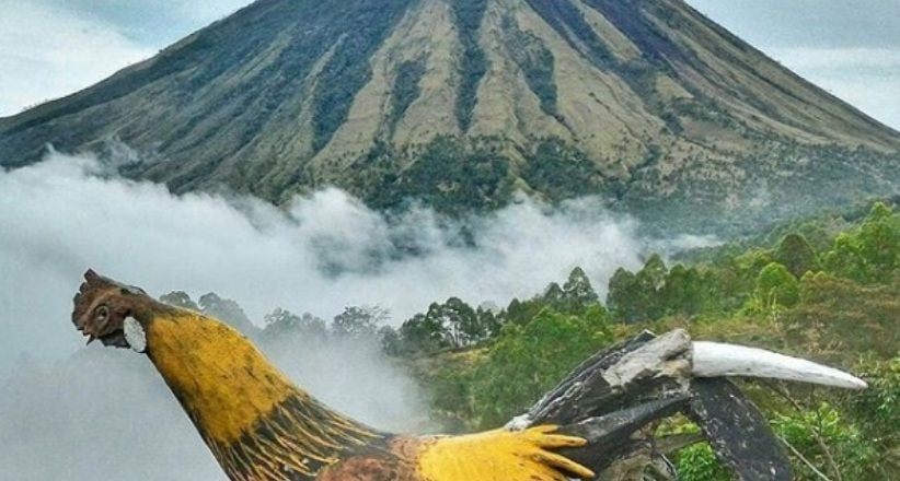 Wisata ke Tanah Flores, Singgahi Gunung Inerie Mirip Piramida Mesir