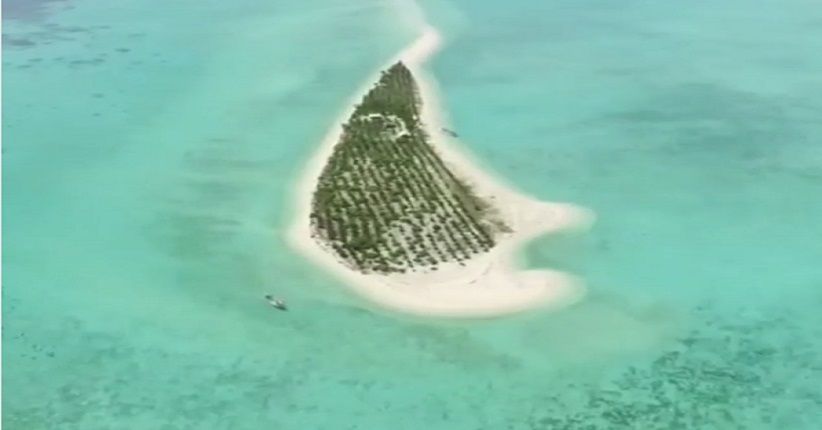 Mengintip Keindahan Taman Laut Gili Noko, Berwarna-warni Mirip Bunaken