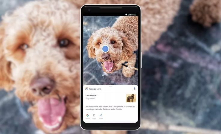 Google Lens Kini Bisa Kenali 1 Miliar Item