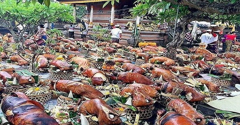 Mengintip Tradisi Hari Raya Galungan di Bali, Unik Ada Ngusaba Guling