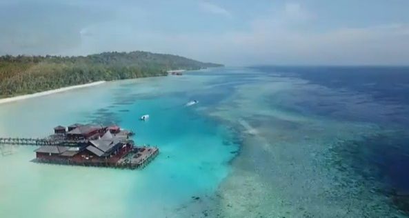 Mengintip Eksotisme Kepulauan Derawan dari Taman Bawah Laut