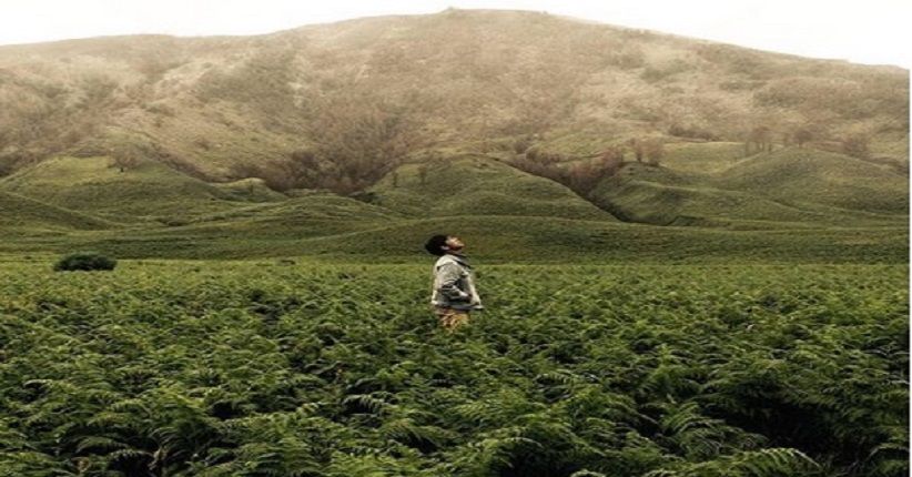 Cara Asyik Menikmati Sunrise Pertama 2019 dari Puncak Bromo
