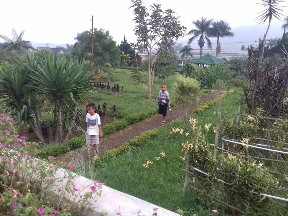 Bus Dilarang Beroperasi, Kunjungan Wisatawan ke Puncak-Cipanas Merosot