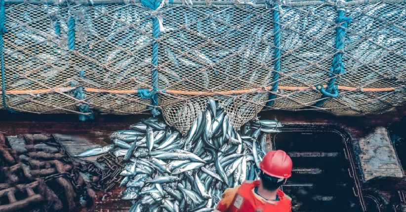 DPR: Perlu Langkah Strategis Atasi Penangkapan Ikan Berlebihan