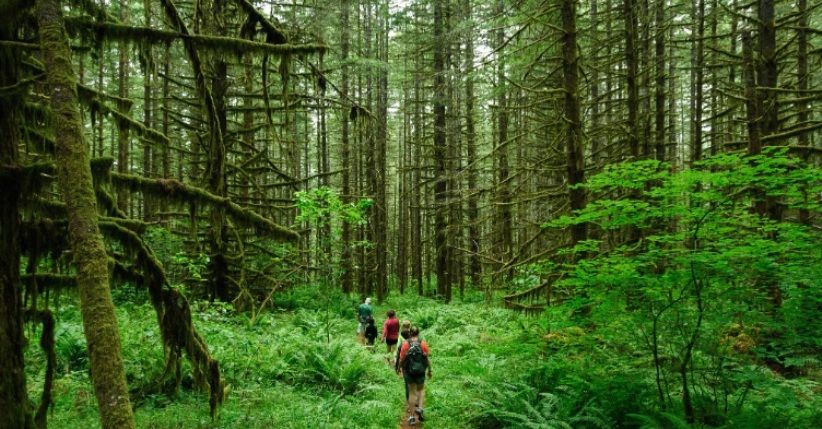 Bocoran Tren Travelling di 2019, Ekowisata Diminati Wisatawan Dunia