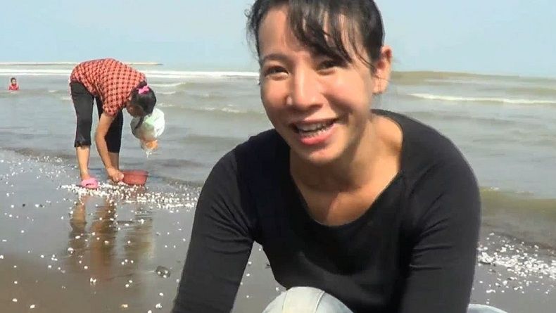 Fenomena Langka, Puluhan Ribu Kerang Putih Terdampar di Pantai Kendal