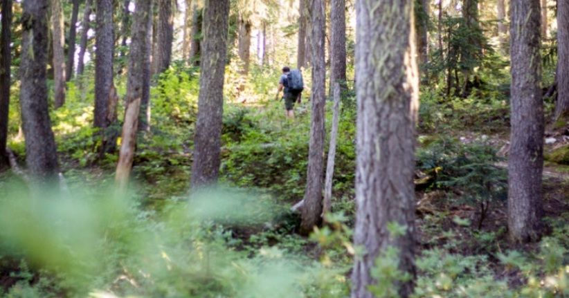 Curah Hujan Tinggi, Akses Pendakian ke Gunung Semeru Ditutup Total