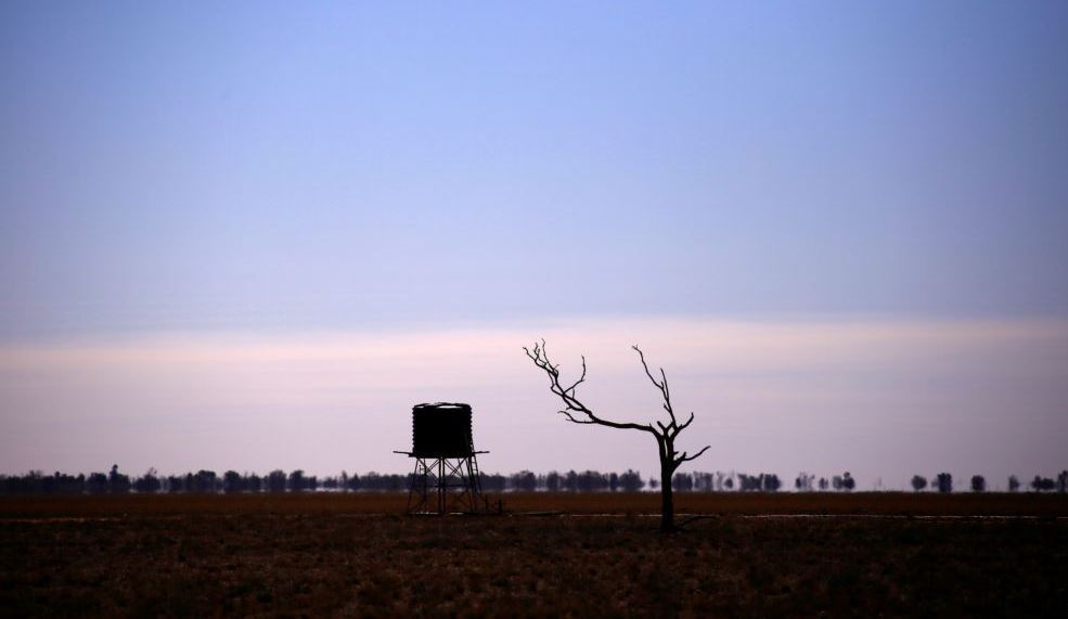 Negara Bagian Queensland Australia Kembali Alami Kekeringan Parah
