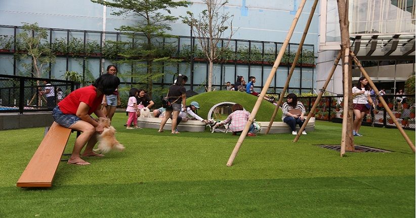 Mengintip Taman Bermain Khusus Anjing di Jakarta, Paws Ada di Mal