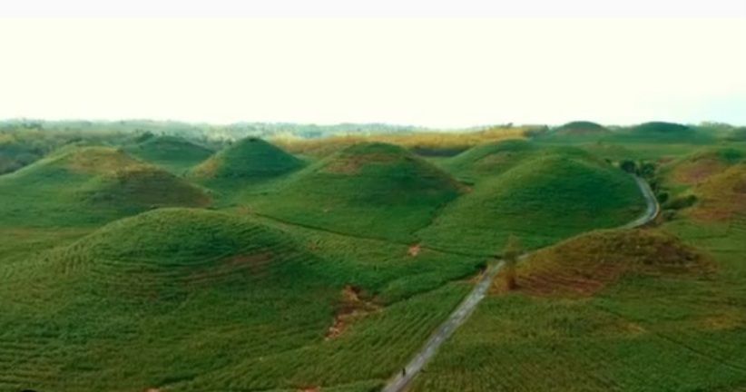 Gunung Bagus, Bukit Teletubbies ala Yogya Viral karena Kebun Jagungnya