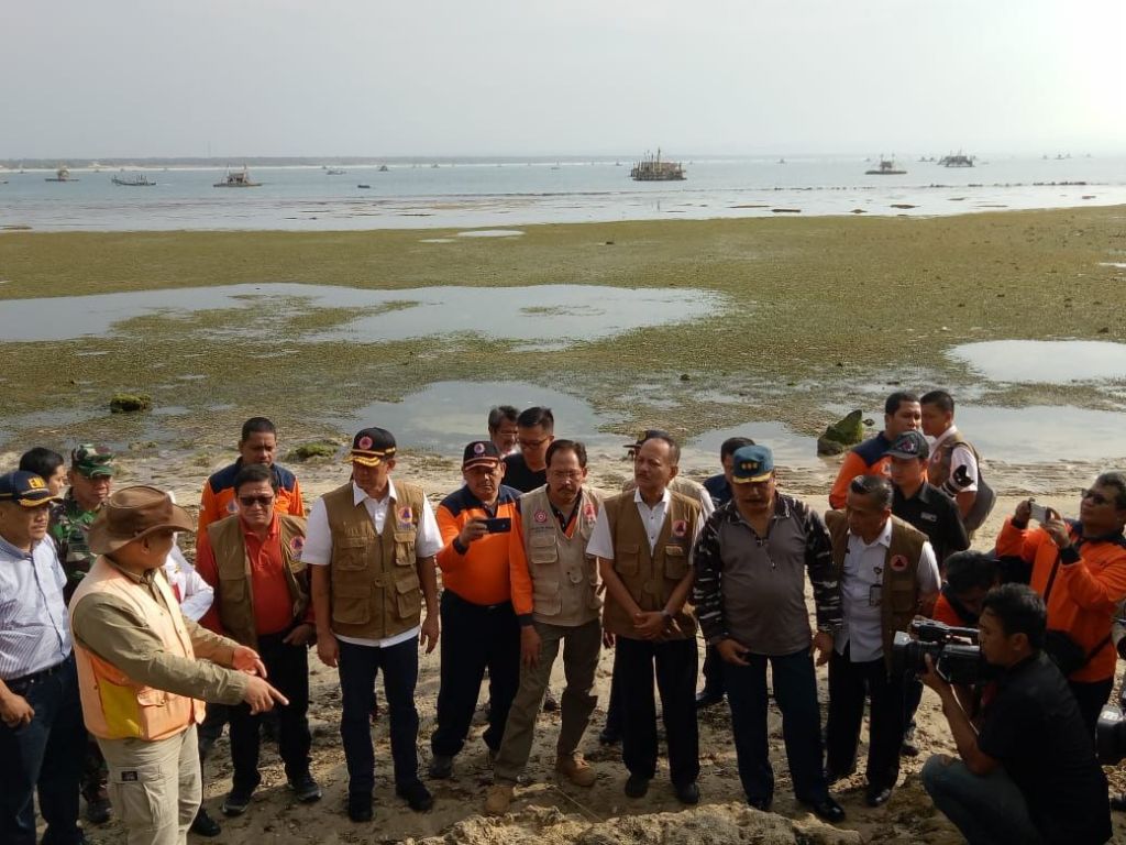 Kepala BNPB: Hutan Pantai Dapat Kurangi Risiko Bahaya Tsunami