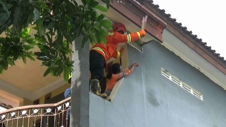 Petugas BPBD Tuban Kewalahan Mengusir Kawanan Kera di Permukiman Warga