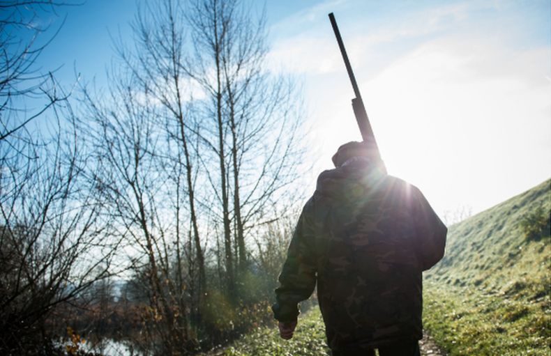 Uskup Tak Sengaja Tembak Pemburu Babi