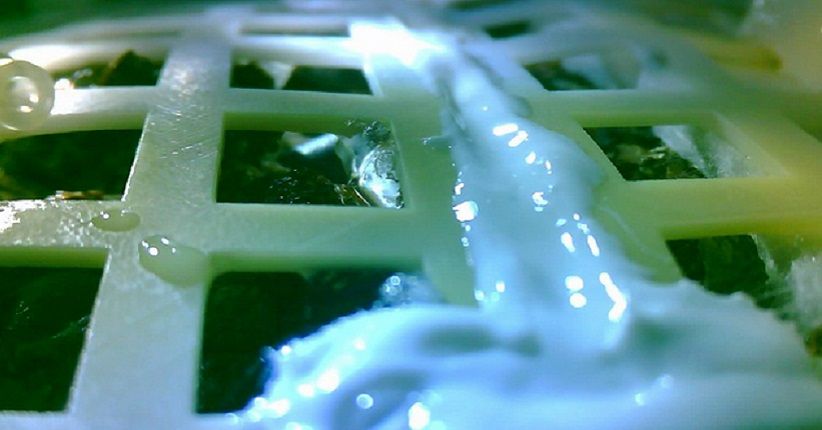 China Menumbuhkan Tanaman di Bulan untuk Pertama Kali