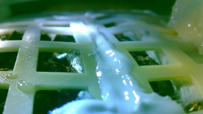 Tanaman Pertama China yang Ditumbuhkan di Bulan Layu dan Mati