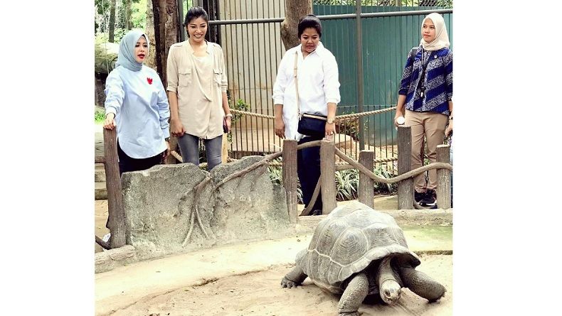 Kunjungi Faunaland Ancol, Nur Asia Uno Suarakan Pelestarian Alam