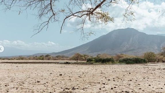 Taman Nasional Baluran, Indahnya Eksotisme Alam Afrika di Tanah Jawa
