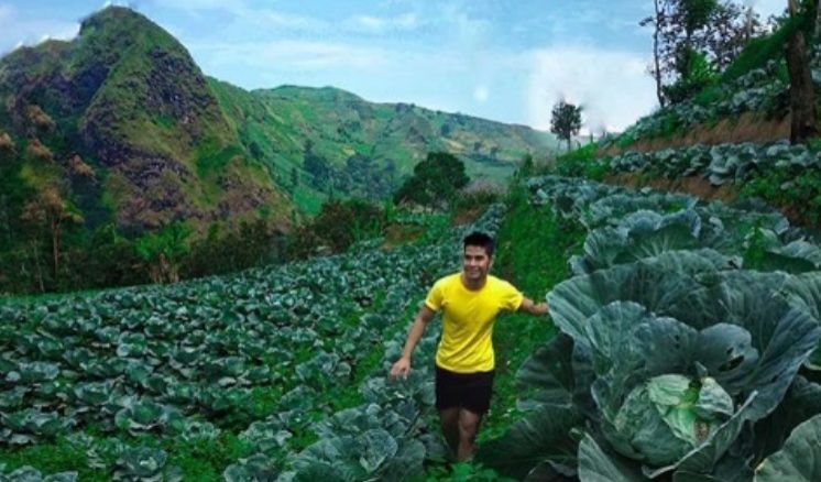 Inspirasi Liburan di Majalengka, Terasering Kebun Kol Lagi Hits