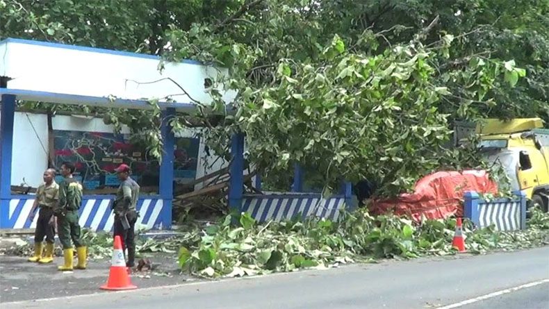 Pos Polisi di Pantura Batang Rusak Parah Tertimpa Pohon Tumbang