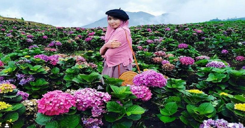 Wisata di Arboretum Sumber Brantas Malang, Unik Ada Titik Nol Mata Air