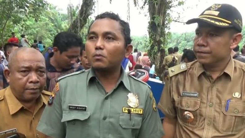 BBKSDA Akan Giring Lumba-Lumba di Sungai Kualuh ke Laut