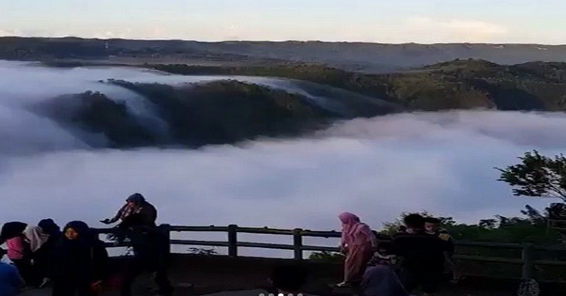 Wisata Yogya, Berburu Sunrise di Kebun Buah Mangunan Berselimut Awan