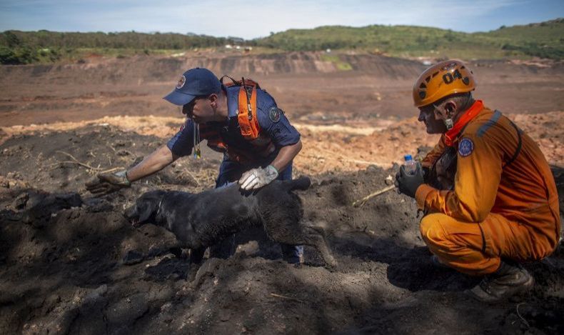 Korban Tewas Bendungan Pertambangan Jebol di Brasil Jadi 110 Orang