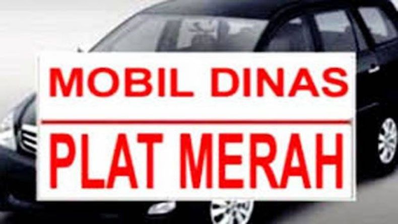 Sambut Prabowo dengan Mobdin, Waket DPRD Gunungkidul Divonis 2 Bulan