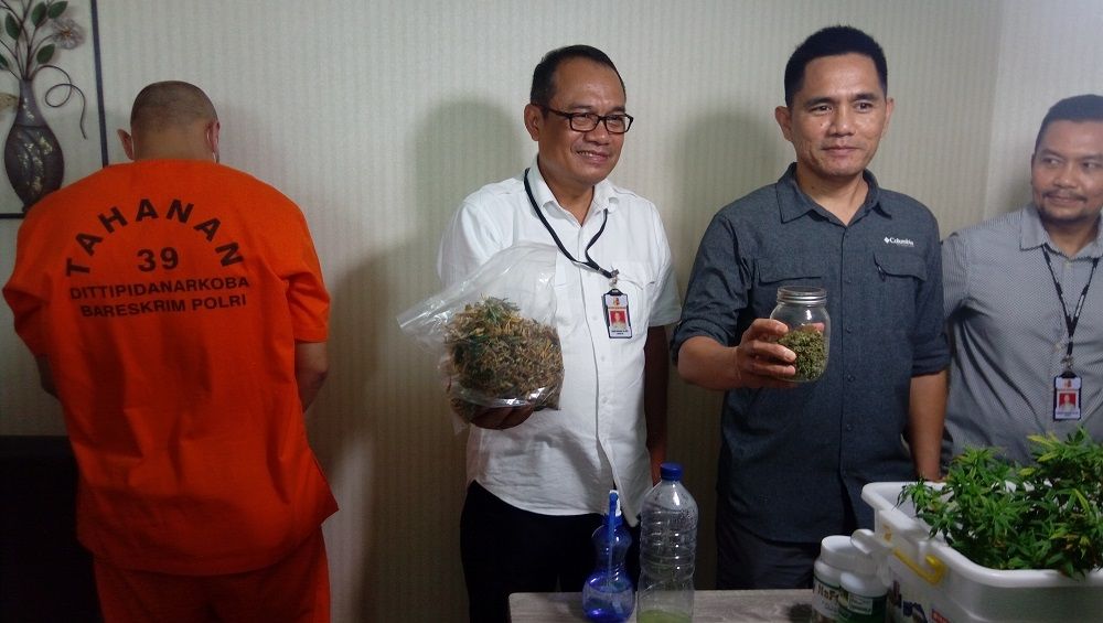 Bareskrim Gerebek Kebun Ganja Milik Warga Amerika di Apartemen Batavia