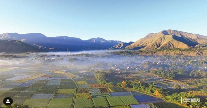 5 Persawahan Terindah di Indonesia, di Flores  Mirip Sarang Laba-Laba