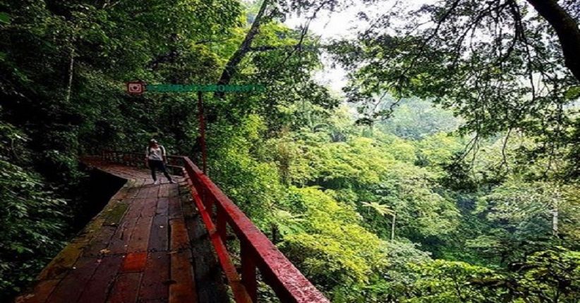 Wisata Instagenik di Semarang, Ada Jembatan Romantis di Curug Lawe