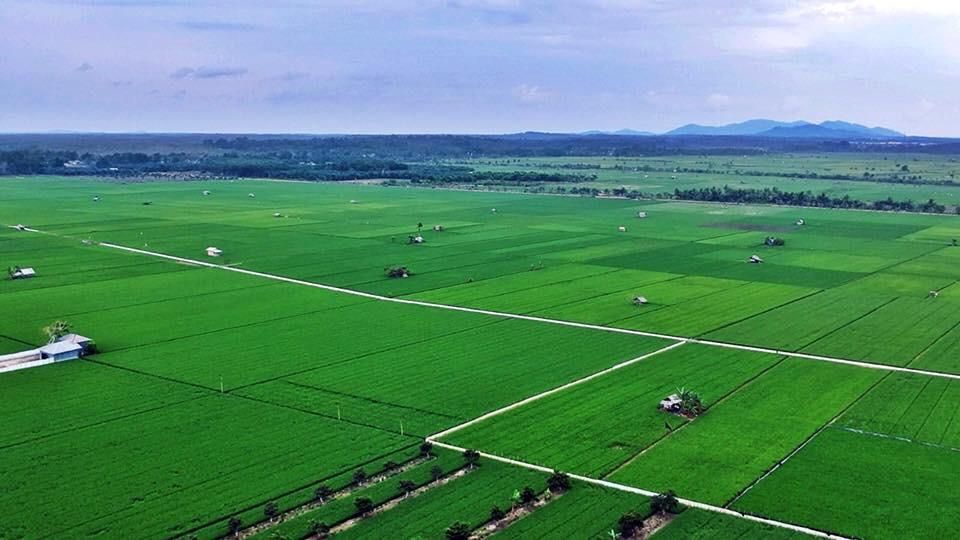 Pompanisasi Turut Selamatkan Pertanian Purwakarta dari Kekeringan