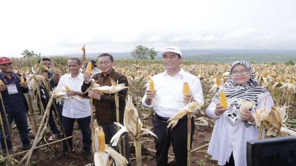 Mentan: Dalam Waktu Dekat Kita Ekspor Jagung