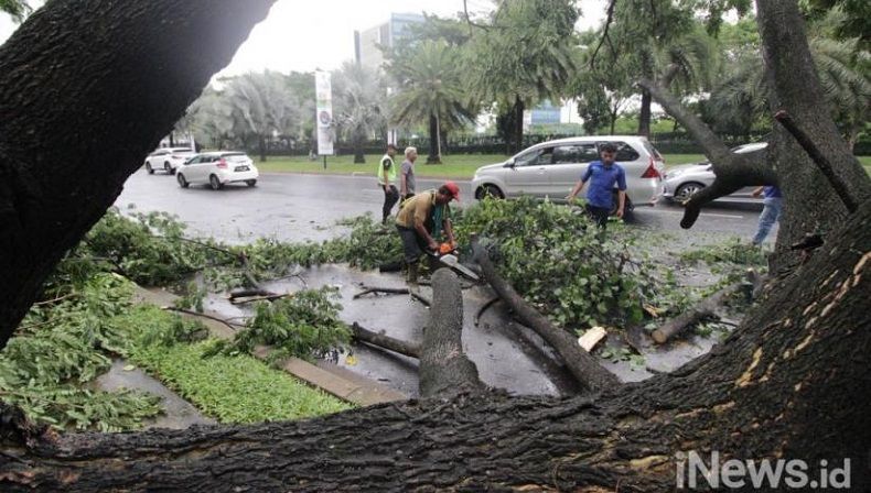 Bencana Angin Kencang di Batu, Jaringan Listrik dan Komunikasi Terputus
