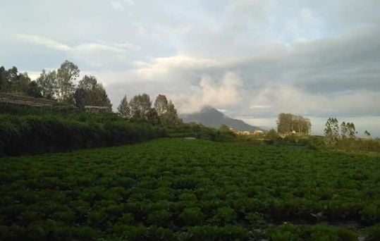 Wisata Kopeng, Desa Sejuk di Antara Gunung Merbabu dan Telomoyo