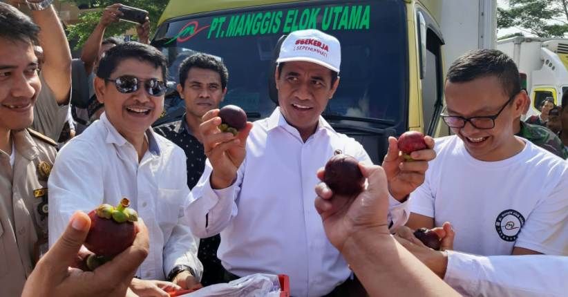Di Sukabumi, Menteri Amran Lepas Ekspor Manggis ke China