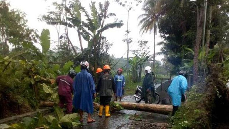 Hujan Es dan Angin Kencang di Sleman, Pohon Tumbang Rusak Bangunan