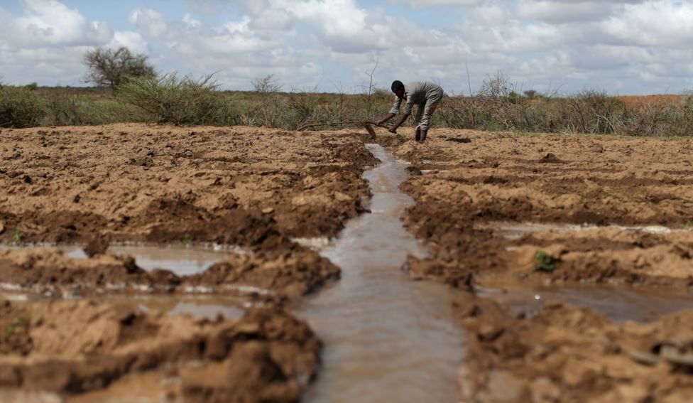 Kekeringan di Somalia, 725.000 Orang Terancam Krisis Kelaparan