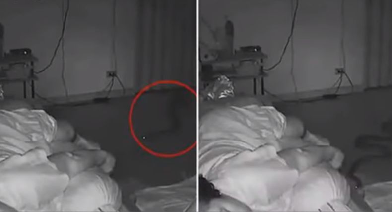 Terekam CCTV, Ular Masuk Kamar saat Perempuan Ini Tidur