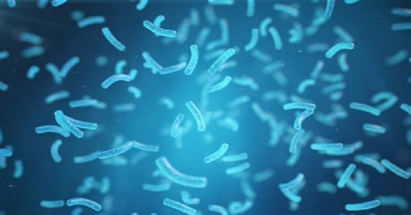 5 Jenis Bakteri dengan Super Power, Ada yang Bisa Membekukan Air