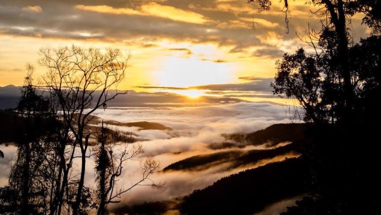 Mengenal Lebih Dekat Tambrauw, Ada Air Panas War Aremi & Bukit Sontiri