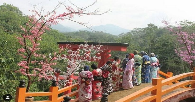 Indahnya Gunung Muria dari The Hills Vaganza, Spotnya Mirip di Jepang