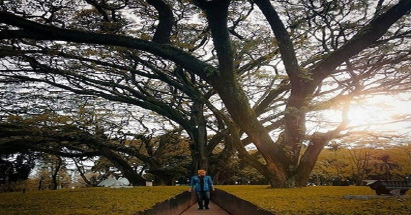 Spot Terbaik Berswafoto di Bandung, Taman Balaikota Paling Populer