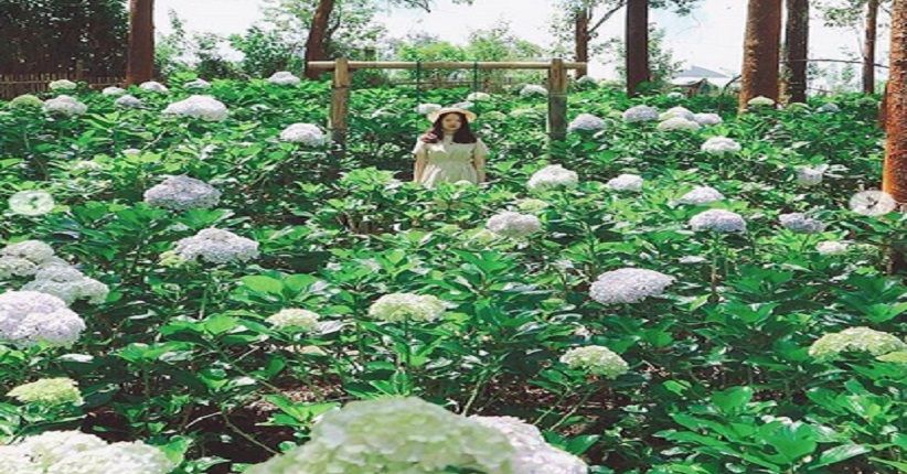 Spot Instagramable di Coban Talun Malang, Taman Bunganya Terpopuler