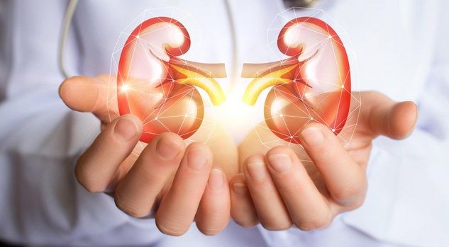 Cegah Penyakit Ginjal, Ubah Gaya Hidup dengan Hidrasi Sehat