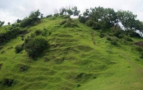 Jelajahi Bukit Pengilon Yogyakarta, Keindahannya Mirip New Zealand