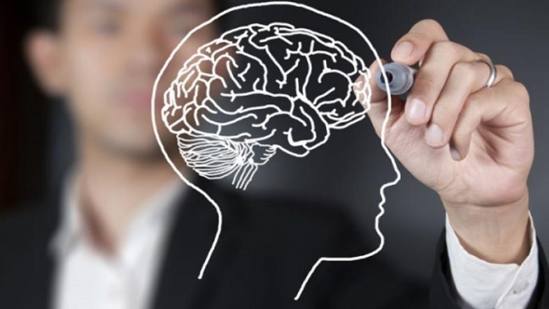 Pemimpin yang Cerdas Beriman